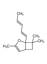 3,7,7-trimethyl-1-((1E,3E)-penta-1,3-dien-1-yl)-2-oxabicyclo[3.2.0]hept-3-ene CAS:678983-21-6 manufacturer & supplier