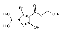 5-Bromo-3-hydroxy-1-isopropylpyrazole-4-carboxylic acid ethyl ester CAS:678995-01-2 manufacturer & supplier