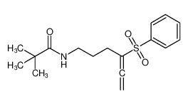 Propanamide, 2,2-dimethyl-N-[4-(phenylsulfonyl)-4,5-hexadienyl]- CAS:679002-40-5 manufacturer & supplier