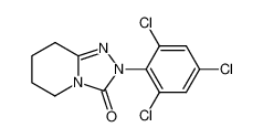 2-(2,4,6-trichloro-phenyl)-5,6,7,8-tetrahydro-2H-[1,2,4]triazolo[4,3-a]pyridin-3-one CAS:68049-35-4 manufacturer & supplier