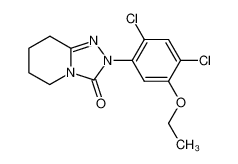 2-(2,4-dichloro-5-ethoxy-phenyl)-5,6,7,8-tetrahydro-2H-[1,2,4]triazolo[4,3-a]pyridin-3-one CAS:68049-74-1 manufacturer & supplier