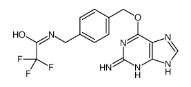 O6-[4-(Trifluoroacetamidomethyl)benzyl]guanine CAS:680622-70-2 manufacturer & supplier