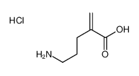 5-amino-2-methylidenepentanoic acid,hydrochloride CAS:68074-15-7 manufacturer & supplier