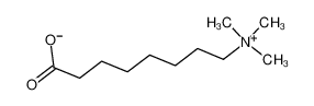 8-(trimethylammonio)octanoate CAS:68098-63-5 manufacturer & supplier