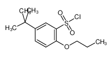 5-tert-Butyl-2-propoxy-benzenesulfonylchloride CAS:681260-21-9 manufacturer & supplier