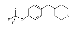 4-(4-(trifluoromethoxy)benzyl)piperidine CAS:681482-50-8 manufacturer & supplier