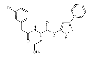 2-[2-(3-bromo-phenyl)-acetylamino]-pentanoic acid (5-phenyl-2H-pyrazol-3-yl)-amide CAS:681487-50-3 manufacturer & supplier