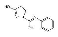 (2S)-5-oxo-N-phenylpyrrolidine-2-carboxamide CAS:68295-47-6 manufacturer & supplier