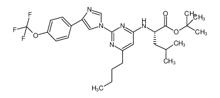 2-{6-butyl-2-[4-(4-trifluoromethoxyphenyl)imidazol-1-yl]pyrimidin-4-ylamino}-4-methyl-pentanoic acid tert-butyl ester CAS:684221-21-4 manufacturer & supplier