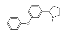 2-(3-phenoxyphenyl)pyrrolidine CAS:68548-75-4 manufacturer & supplier