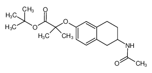 2-(6-acetylamino-5,6,7,8-tetrahydronaphthalen-2-yloxy)-2-methylpropionic acid tert-butyl ester CAS:685832-45-5 manufacturer & supplier