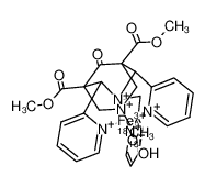 [Fe(III)(η1-(18)O(18)OH)(C28H29N2O5)](2+) CAS:685833-79-8 manufacturer & supplier