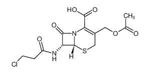 7-(3-chloropropionamido)cephalosporanic acid CAS:68700-71-0 manufacturer & supplier