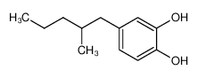 4-(2-Methyl-pentyl)-benzene-1,2-diol CAS:688336-72-3 manufacturer & supplier