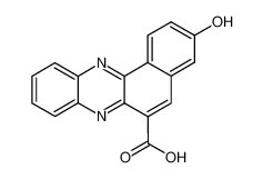 3-Hydroxy-benzo[a]phenazine-6-carboxylic acid CAS:688801-04-9 manufacturer & supplier