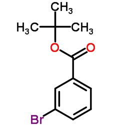 tert-Butyl 3-Bromobenzoate CAS:69038-74-0 manufacturer & supplier