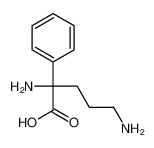 (2R)-2,5-diamino-2-phenylpentanoic acid CAS:690945-50-7 manufacturer & supplier