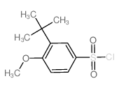 3-tert-butyl-4-methoxybenzenesulfonyl chloride CAS:69129-42-6 manufacturer & supplier