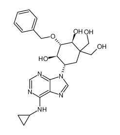 (1R,2R,3S,6S)-2-(benzyloxy)-6-(6-(cyclopropylamino)-9H-purin-9-yl)-4,4-bis(hydroxymethyl)cyclohexane-1,3-diol CAS:691371-53-6 manufacturer & supplier