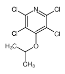 4-isopropoxy-2,3,5,6-tetrachloropyridine CAS:69230-37-1 manufacturer & supplier