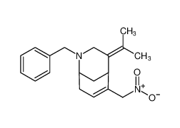 2-benzyl-6-(nitromethyl)-4-(propan-2-ylidene)-2-azabicyclo[3.3.1]non-6-ene CAS:692760-57-9 manufacturer & supplier