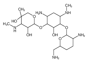 2-[6-amino-3-[3-amino-6-(aminomethyl)oxan-2-yl]oxy-2-hydroxy-4-(methylamino)cyclohexyl]oxy-5-methyl-4-(methylamino)oxane-3,5-diol CAS:69375-05-9 manufacturer & supplier