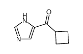 cyclobutyl-(1(3)H-imidazol-4-yl)-methanone CAS:69393-27-7 manufacturer & supplier