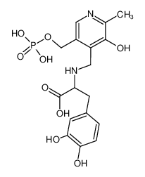 3-(3,4-Dihydroxy-phenyl)-2-[(3-hydroxy-2-methyl-5-phosphonooxymethyl-pyridin-4-ylmethyl)-amino]-propionic acid CAS:69436-94-8 manufacturer & supplier