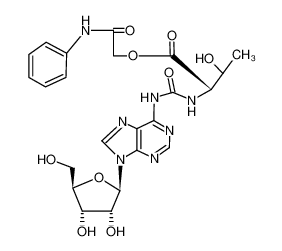 N-(9-β-D-ribofuranosyl-9H-purin-6-ylcarbamoyl)-threonine phenylcarbamoyl-methyl ester CAS:69472-08-8 manufacturer & supplier