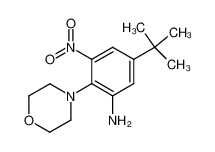 5-tert-butyl-2-morpholin-4-yl-3-nitro-aniline CAS:69607-14-3 manufacturer & supplier