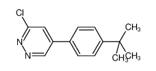 5-(4-tert-butylphenyl)-3-chloropyridazine CAS:697739-29-0 manufacturer & supplier