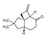 rel-(2aR,5aR,8aR)-7,7-dimethyl-2-methyleneoctahydrocyclobuta[d]inden-3(1H)-one CAS:699005-20-4 manufacturer & supplier