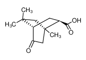 (1R,2R,4S)-1,5,5-Trimethyl-8-oxo-bicyclo[2.2.2]octane-2-carboxylic acid CAS:69923-78-0 manufacturer & supplier