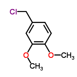 4-(chloromethyl)-1,2-dimethoxybenzene CAS:7306-46-9 manufacturer & supplier