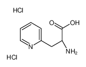 (2R)-2-amino-3-pyridin-2-ylpropanoic acid,dihydrochloride CAS:74104-85-1 manufacturer & supplier