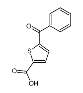 5-(Phenylcarbonyl)thiophene-2-carboxylic acid CAS:79505-01-4 manufacturer & supplier