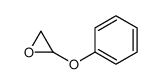 2-phenoxyoxirane CAS:79526-11-7 manufacturer & supplier