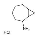 6-bicyclo[5.1.0]octanylazanium,chloride CAS:79531-09-2 manufacturer & supplier