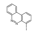 4-iodo-benzo[c]cinnoline CAS:79580-33-9 manufacturer & supplier