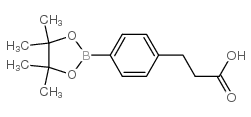 3-[4-(4,4,5,5-tetramethyl-1,3,2-dioxaborolan-2-yl)phenyl]propanoic acid CAS:797755-11-4 manufacturer & supplier