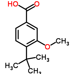 4-tert-Butyl-3-methoxybenzoic acid CAS:79822-46-1 manufacturer & supplier