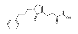 N-hydroxy-3-[2-oxo-1-(3-phenyl-propyl)-2,5-dihydro-1H-pyrrol-3-yl]-propionamide CAS:798542-78-6 manufacturer & supplier