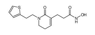 N-hydroxy-3-(2-oxo-1-(2-(thiophen-2-yl)ethyl)-1,2,5,6-tetrahydropyridin-3-yl)propanamide CAS:798544-03-3 manufacturer & supplier