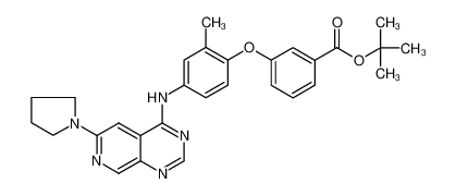 3-[2-methyl-4-(6-pyrrolidin-1-yl-pyrido[3,4-d]pyrimidin-4-ylamino)-phenoxy]-benzoic acid tert-butyl ester CAS:799242-57-2 manufacturer & supplier