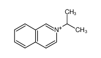 2-isopropylisoquinolin-2-ium CAS:79979-28-5 manufacturer & supplier