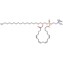 1-hexadecyl-2-[(5Z,8Z,11Z,14Z)-icosatetraenoyl]-sn-glycero-3-phosphocholine CAS:86288-11-1 manufacturer & supplier