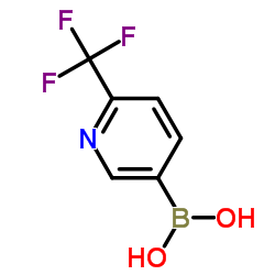 2-Trifluoromethylpyridine-5-boronic acid CAS:868662-36-6 manufacturer & supplier