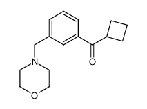 cyclobutyl-[3-(morpholin-4-ylmethyl)phenyl]methanone CAS:898792-38-6 manufacturer & supplier