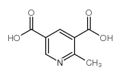 2-Methylpyridine-3,5-dicarboxylic Acid CAS:89942-70-1 manufacturer & supplier