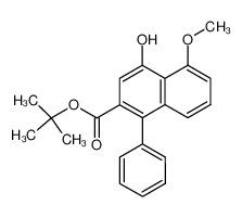 4-Hydroxy-5-methoxy-1-phenyl-β-naphthoesaeure-tert.-butylester CAS:96172-99-5 manufacturer & supplier